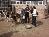 Trénink označování zvířat v Mongolsku