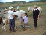 Project in Mongolia