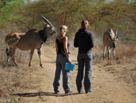Výzkum antilop Derbyho v Senegalu