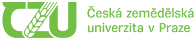 Primary Raster logo