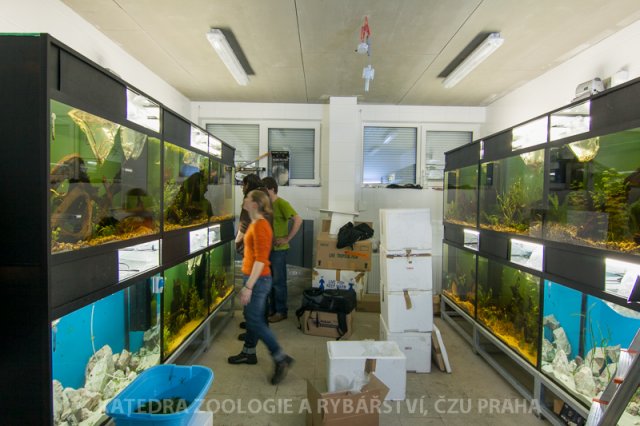Demonstrační akvarijní místnost